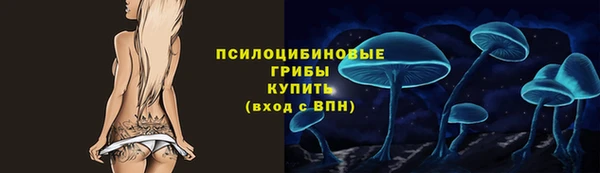 ГАЛЛЮЦИНОГЕННЫЕ ГРИБЫ Тавда
