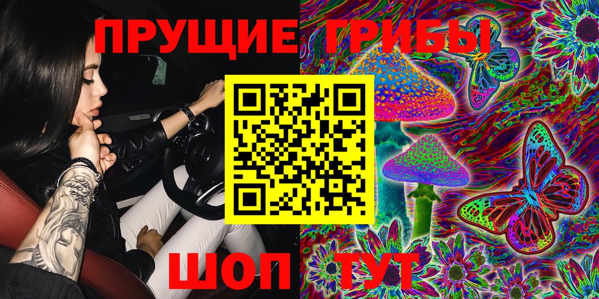 Галлюциногенные грибы Psilocybine cubensis Рассказово