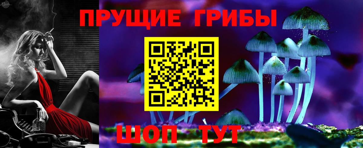 цены   Галлюциногенные грибы Cubensis  Галлюциногенные грибы мухоморы  Вход с VPN  Рассказово 
